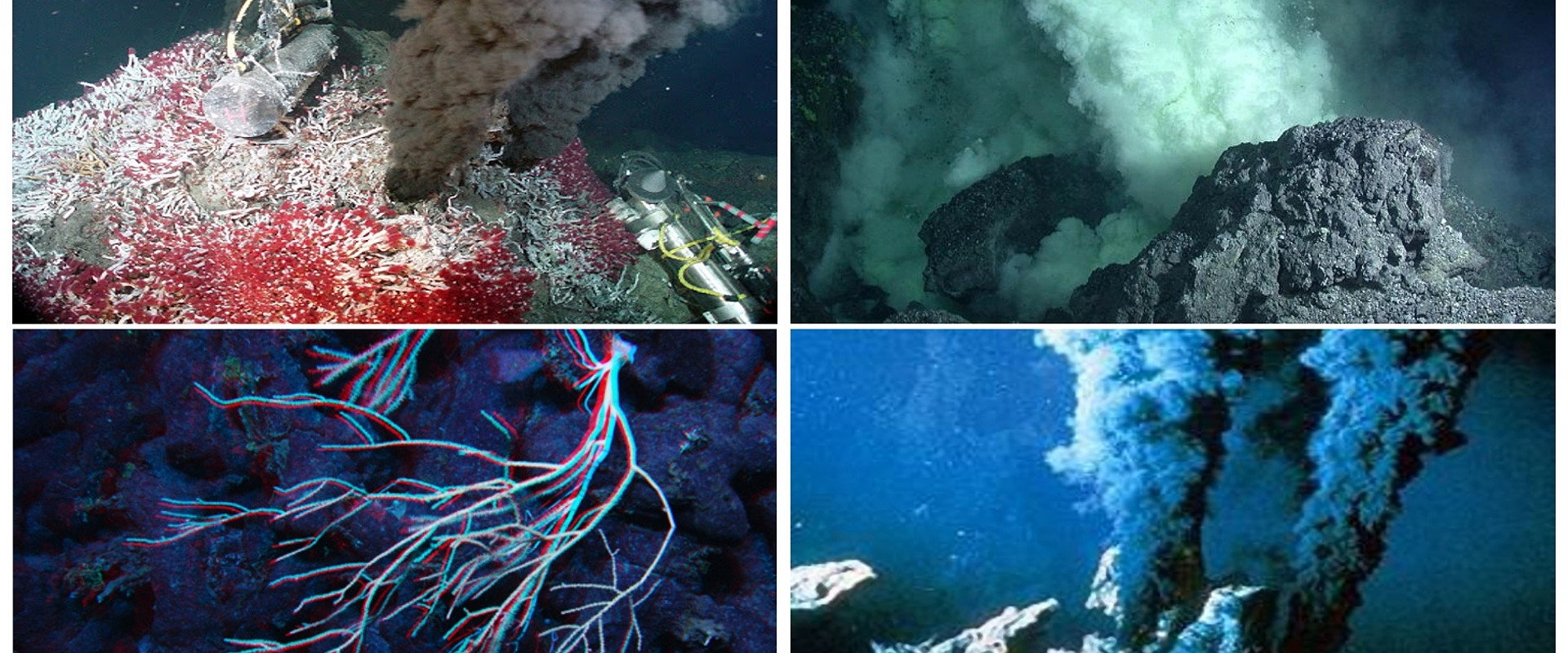 Volcanoes of the Deep Sea backdrop