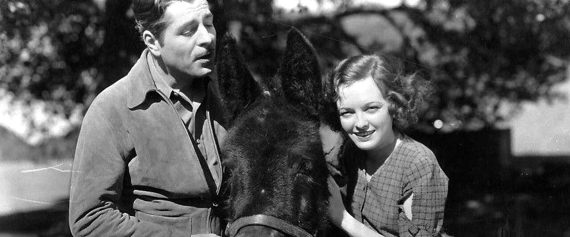 Amateur Daddy backdrop