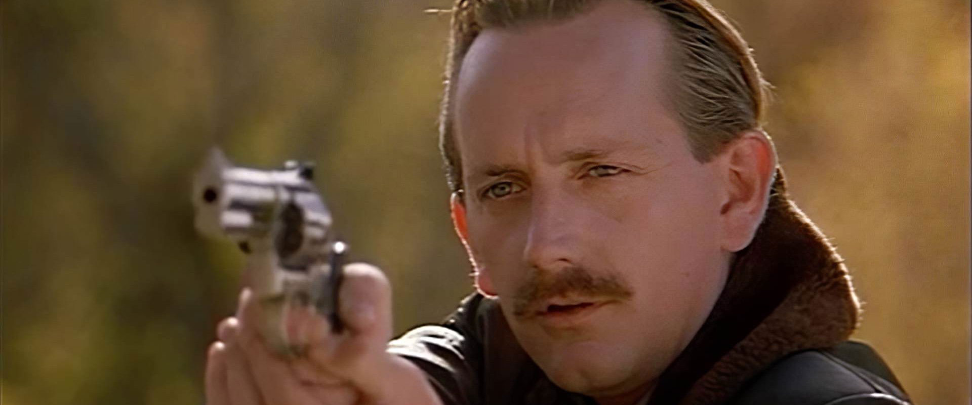 Brigham City backdrop