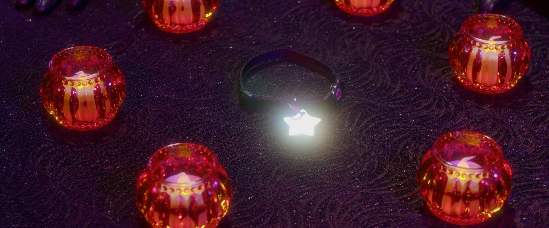 Captain Pickles backdrop