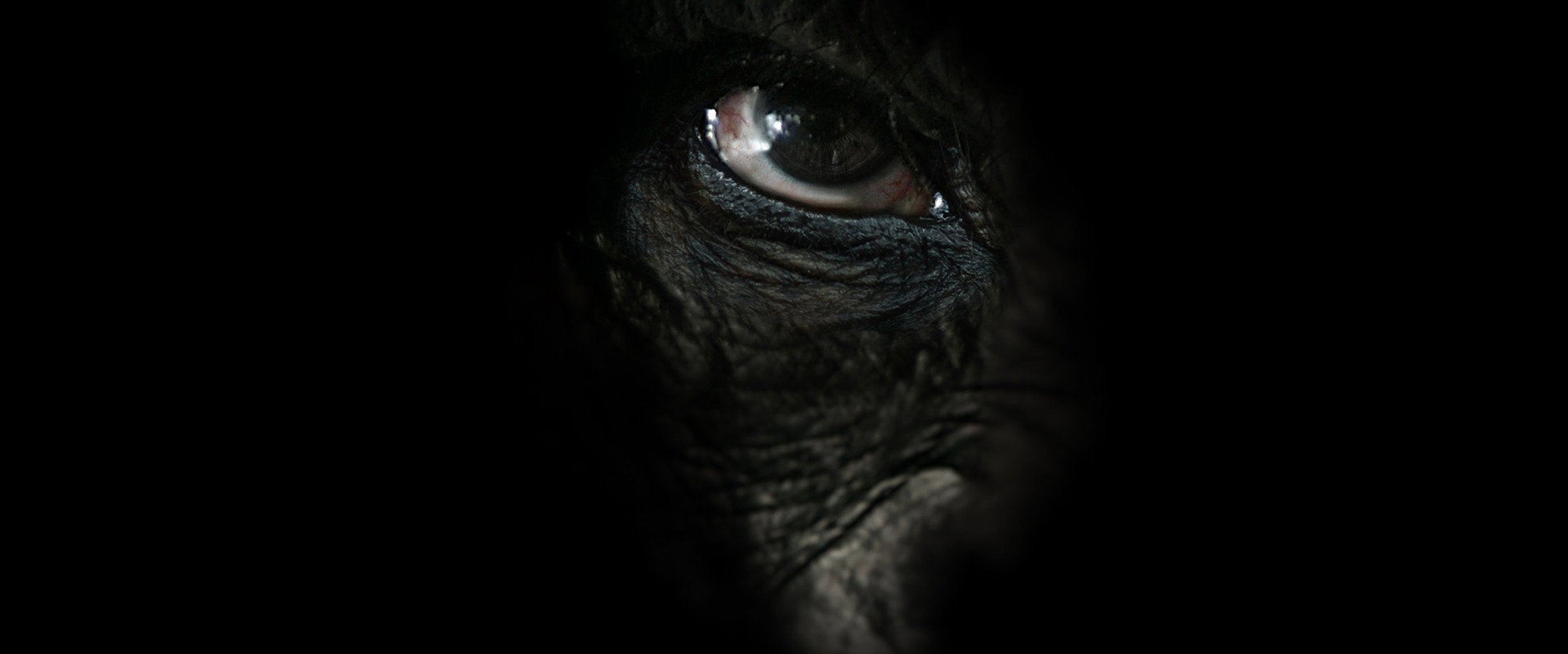 Rise of the Warrior Apes backdrop