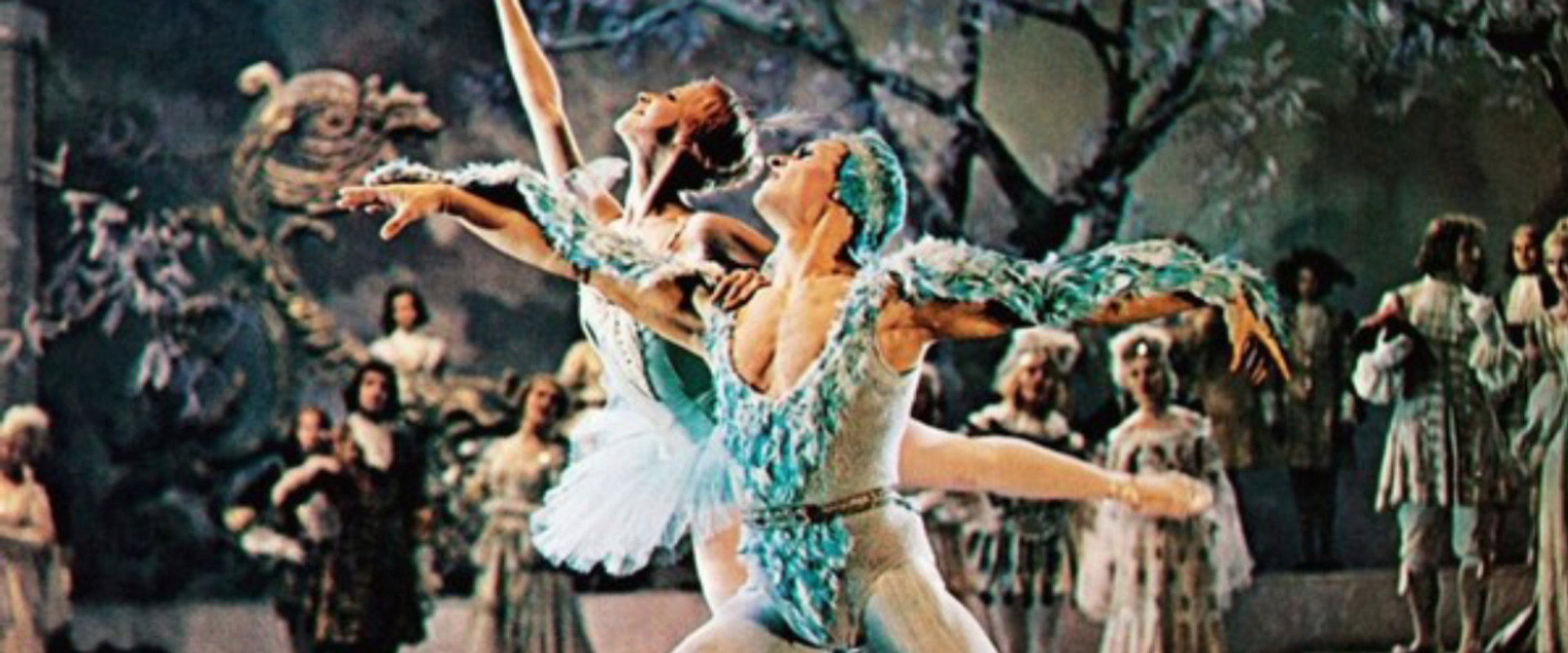 Sleeping Beauty backdrop