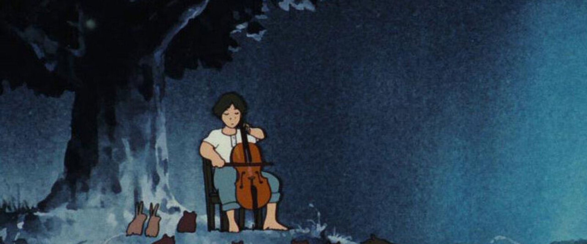 Gauche the Cellist backdrop