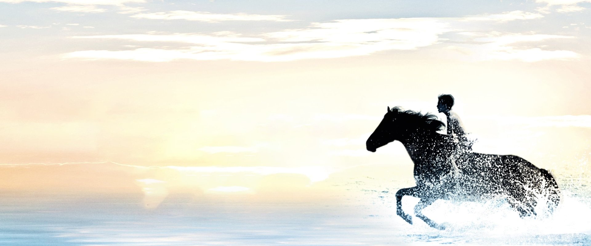 The Black Stallion backdrop