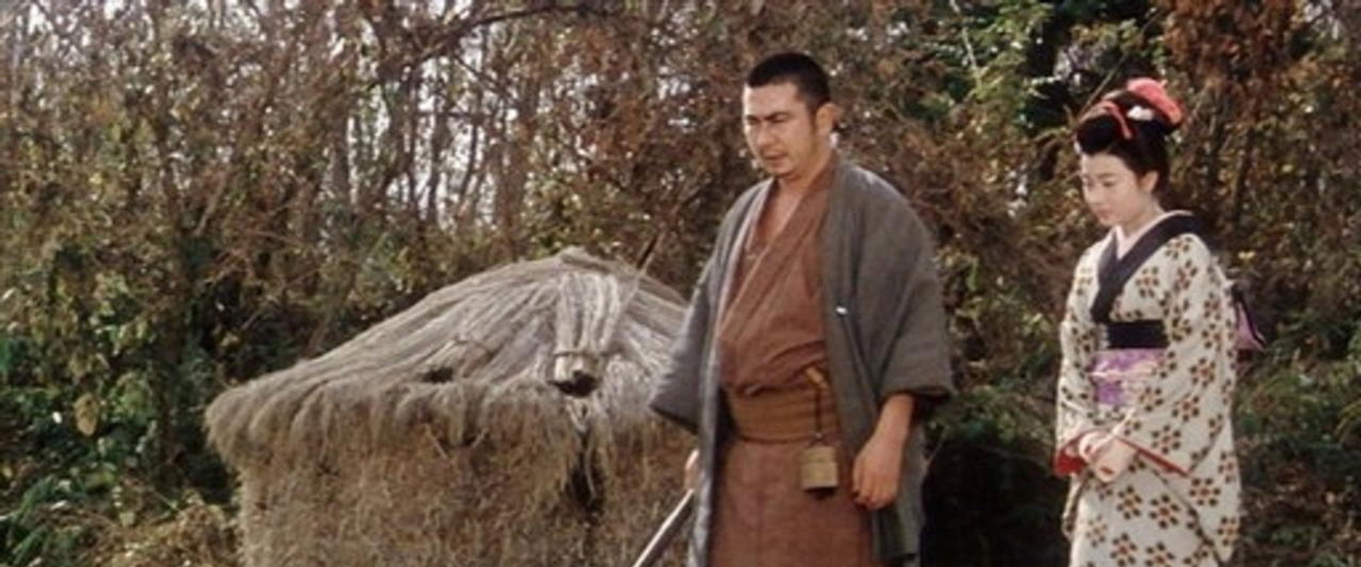 Adventures of Zatoichi backdrop