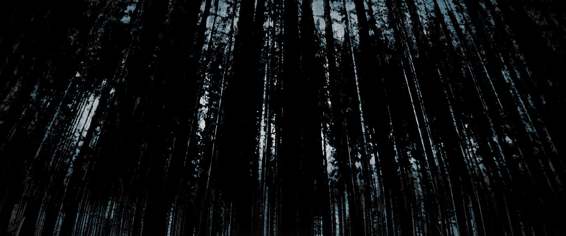 Mimic backdrop
