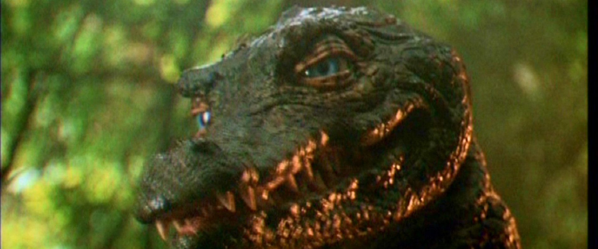 The Legend of Gator Face