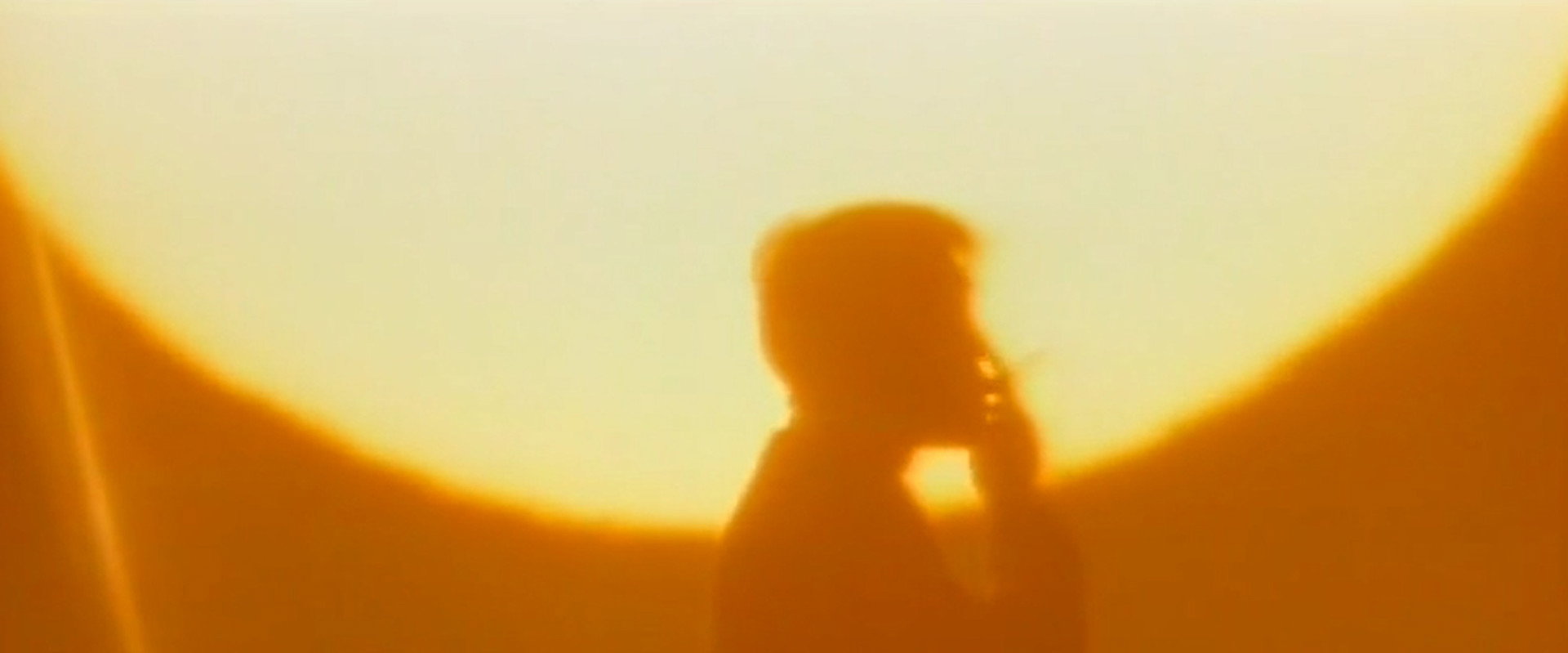 The Brutal Insanity of Love backdrop