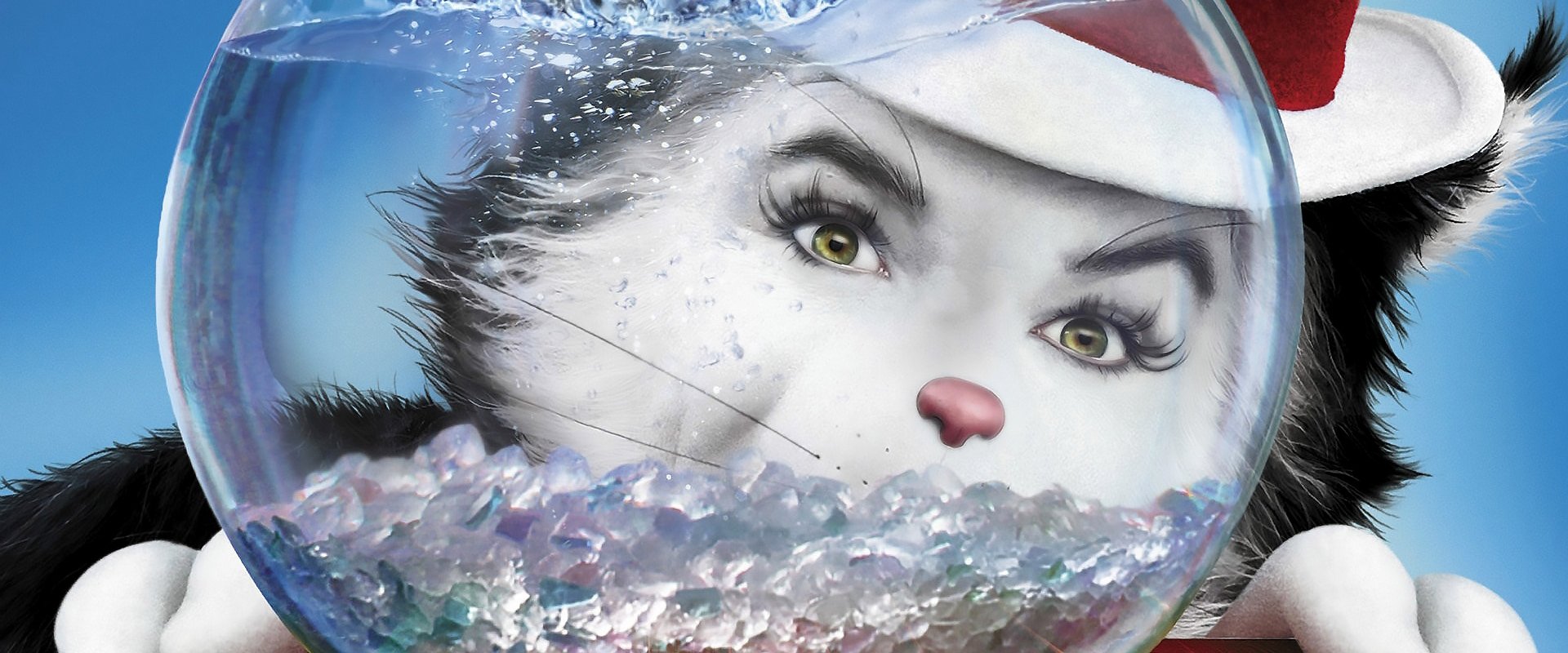 The Cat in the Hat backdrop