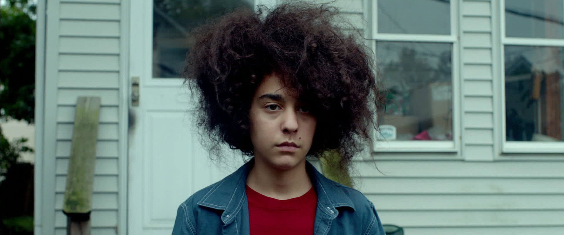 Hairbrained backdrop