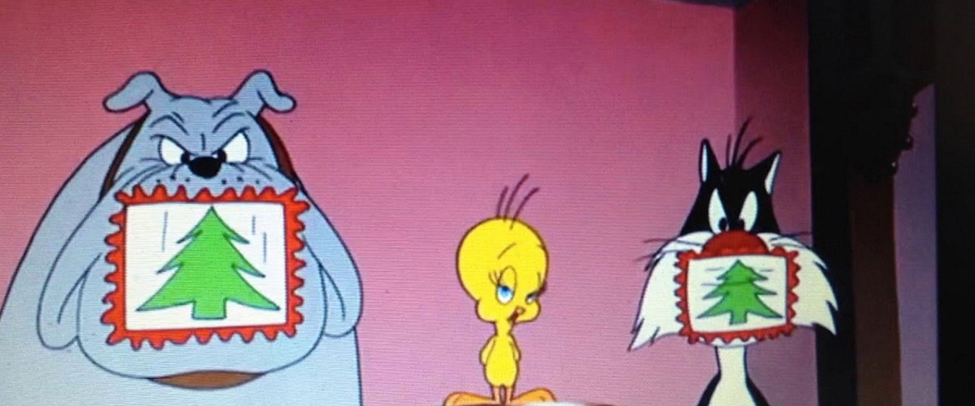 Gift Wrapped backdrop