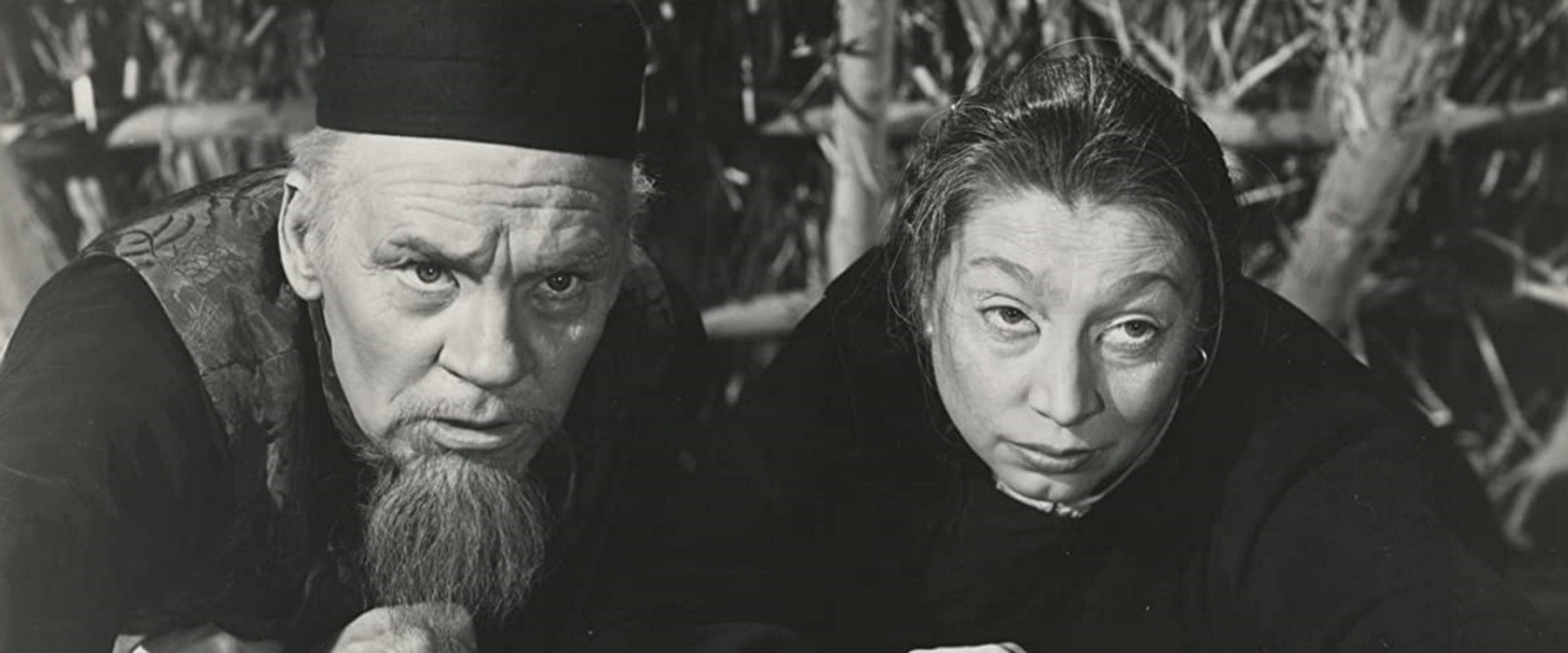 Dragon Seed backdrop