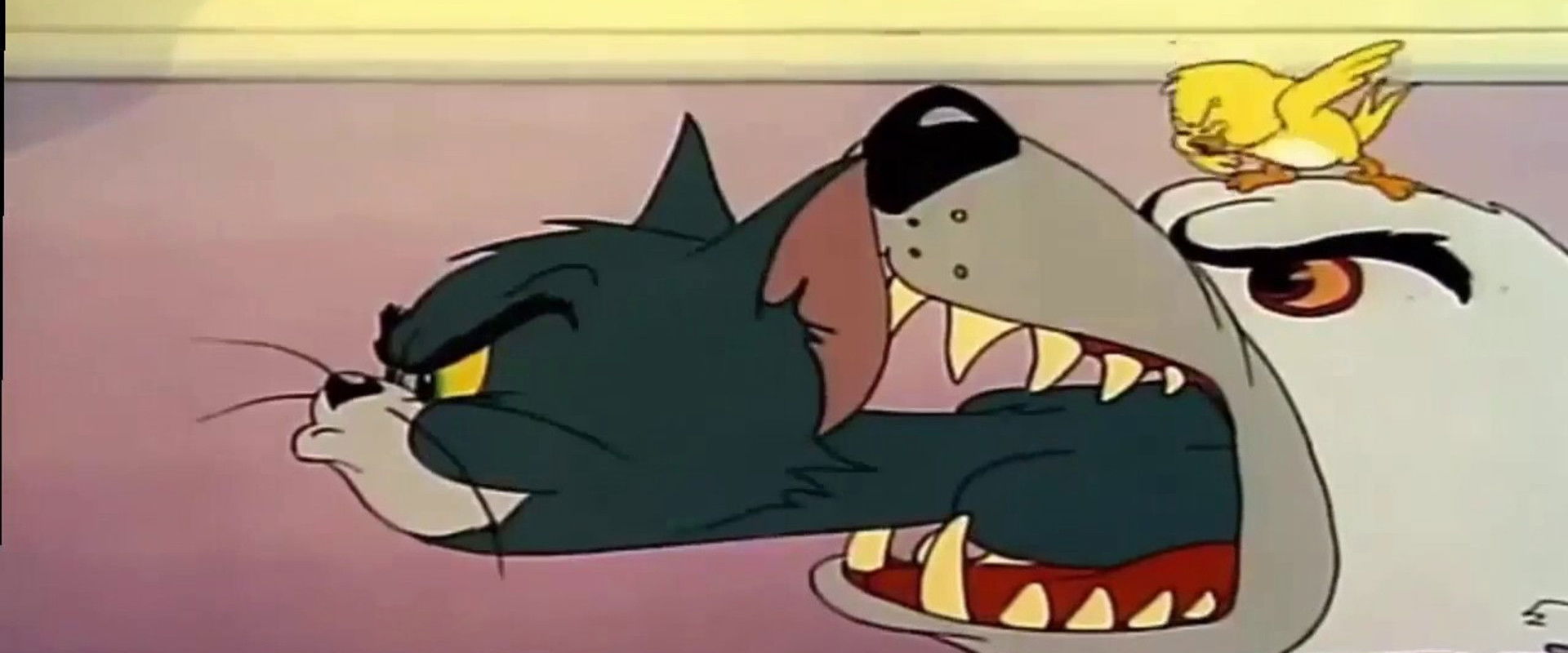 Kitty Foiled backdrop