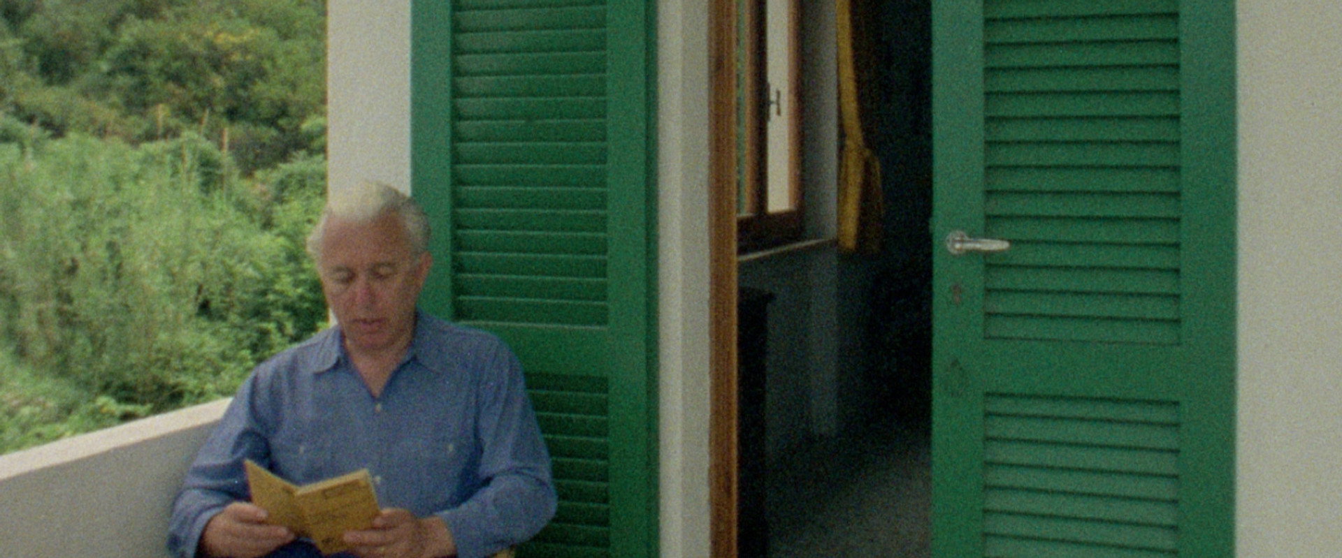 Fortini/Cani backdrop