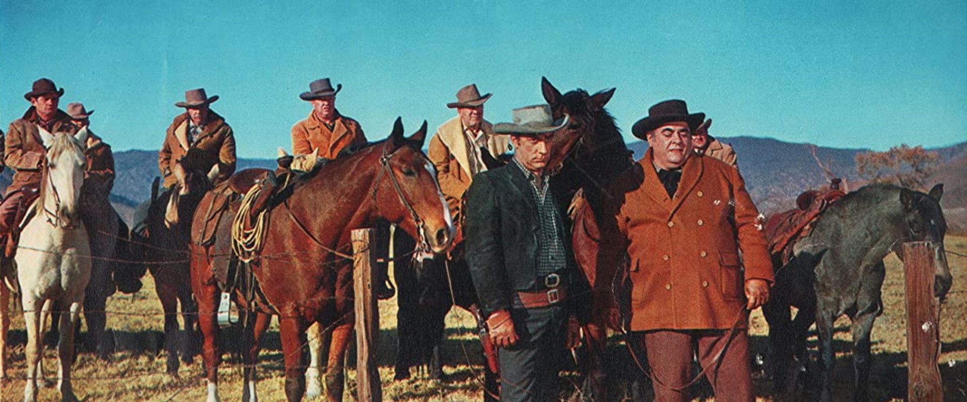 Cattle King backdrop