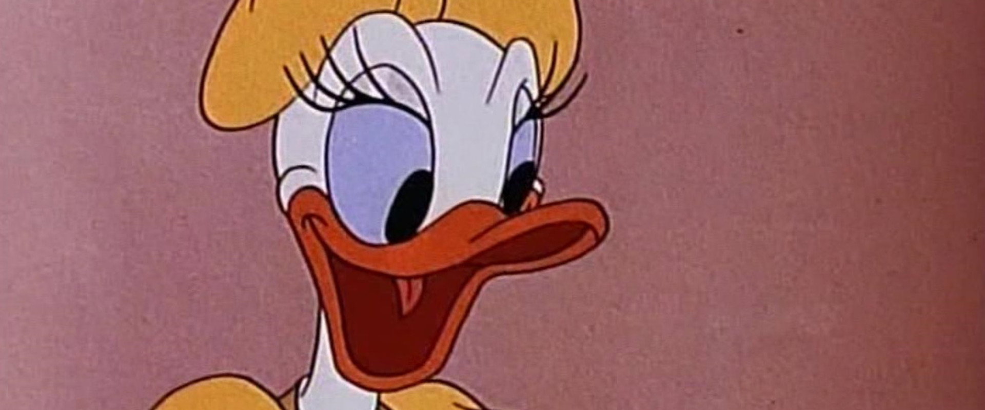Cured Duck backdrop