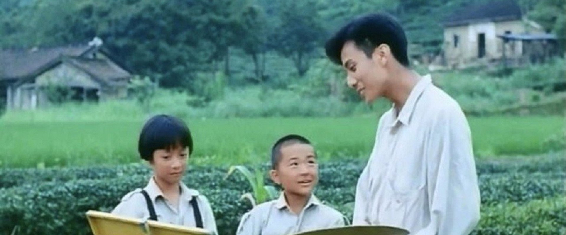 The Dull-Ice Flower backdrop