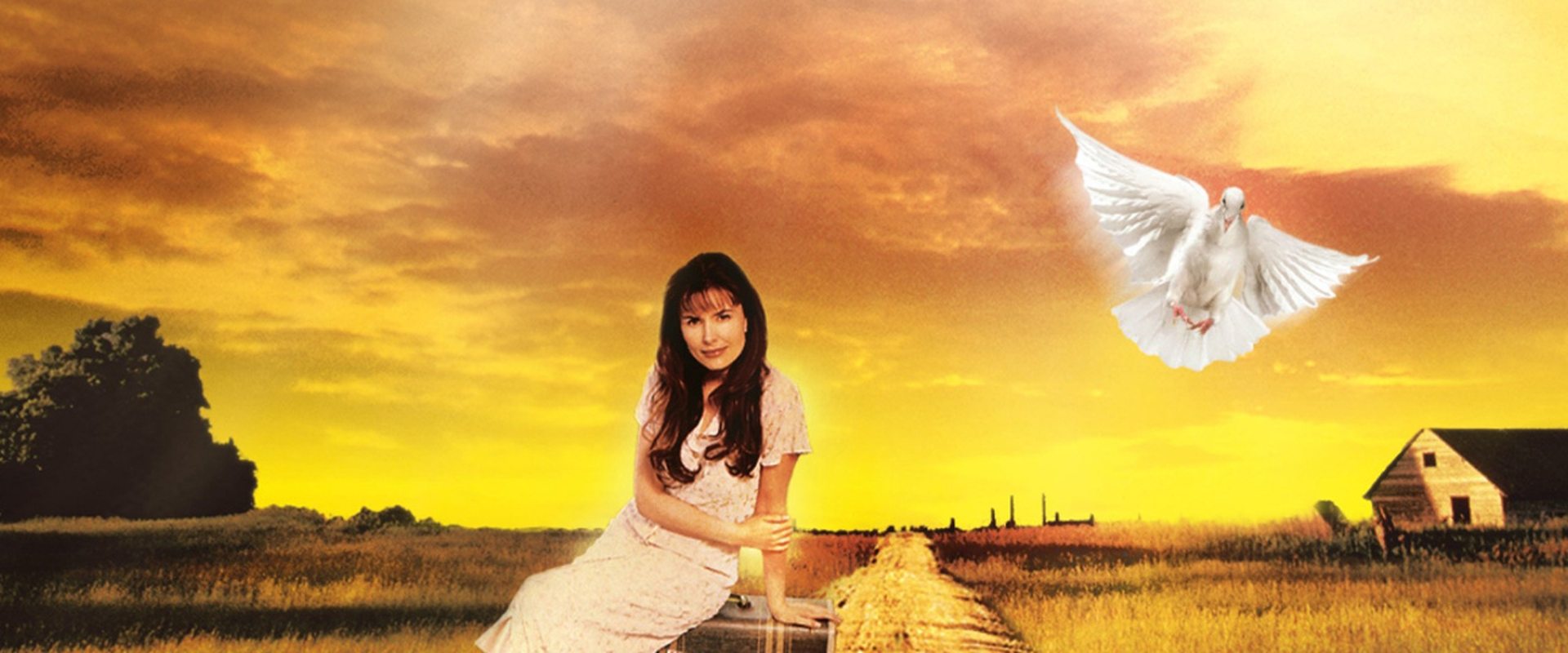 Touched by an Angel