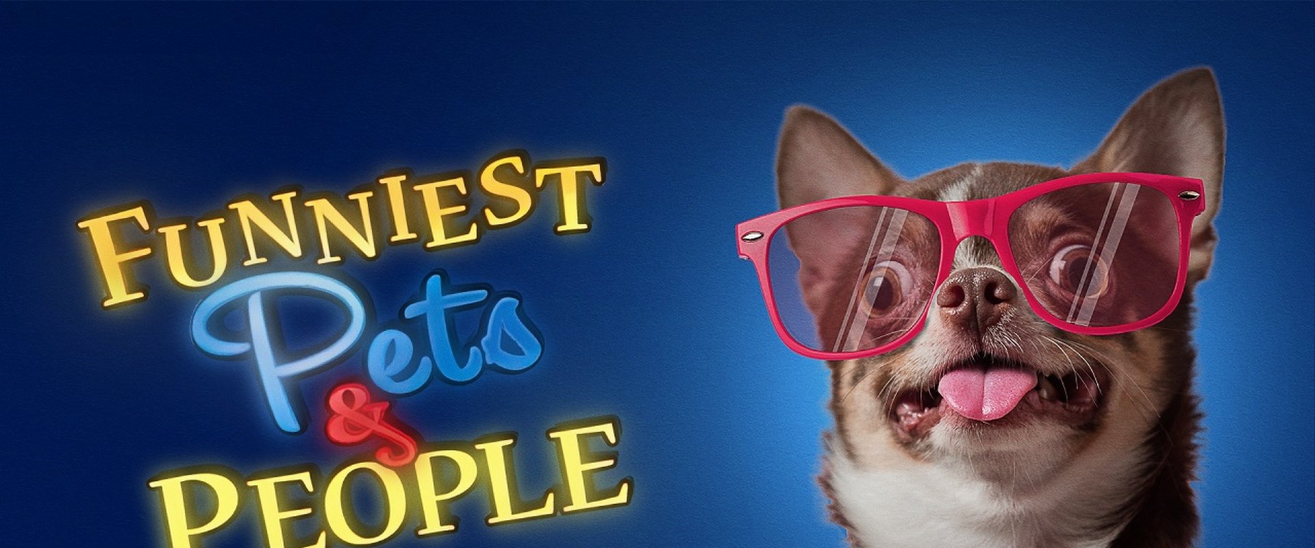 Funniest Pets & People