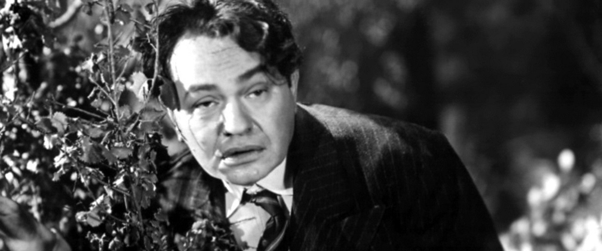 Brother Orchid backdrop