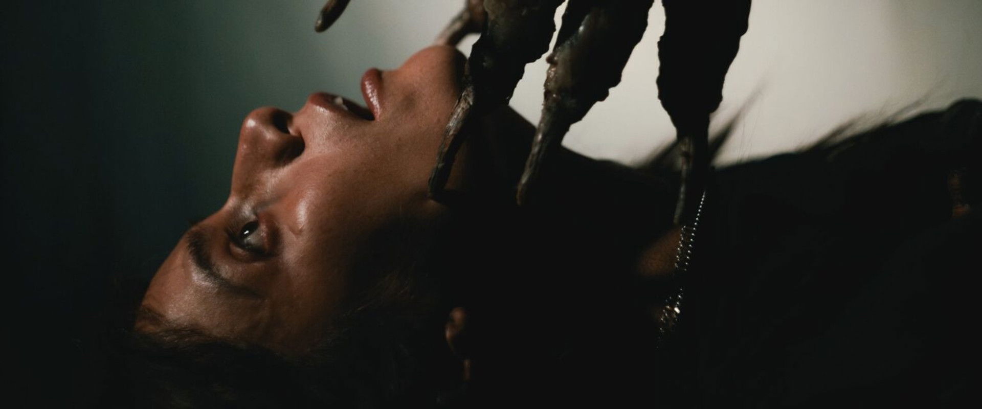 Don't Follow Me backdrop