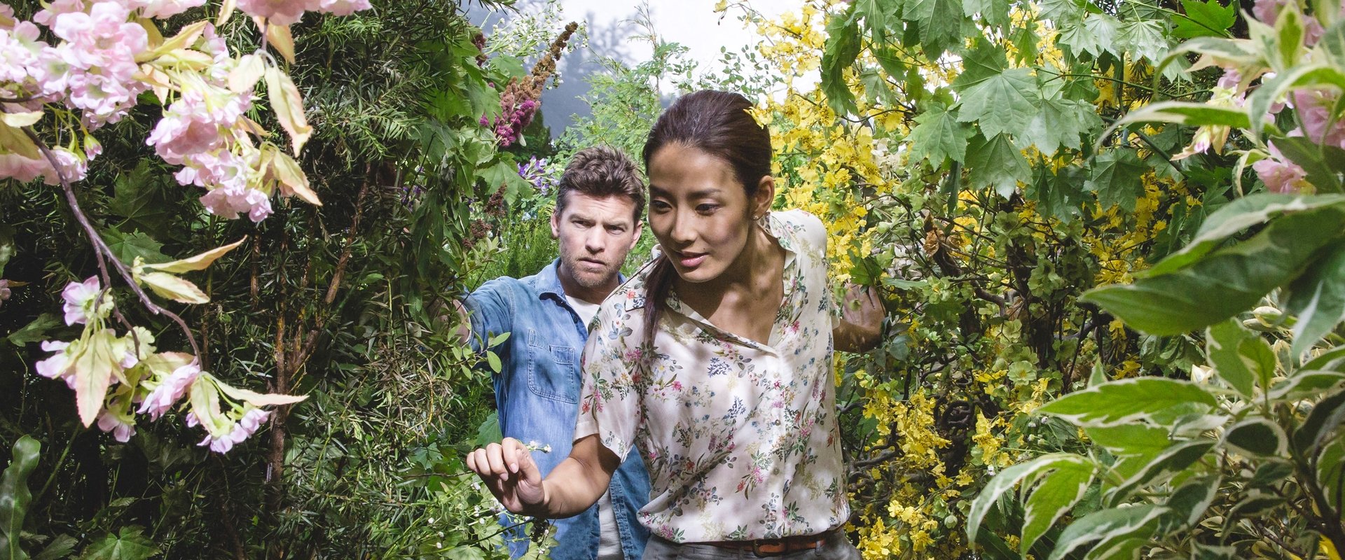 The Shack backdrop