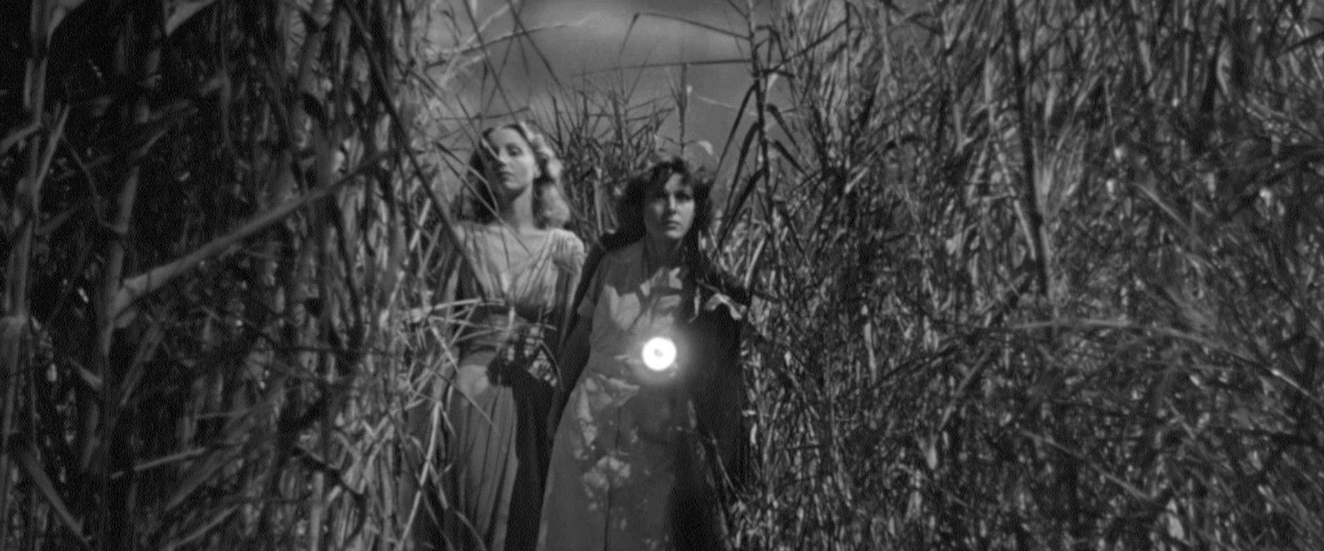 I Walked with a Zombie backdrop