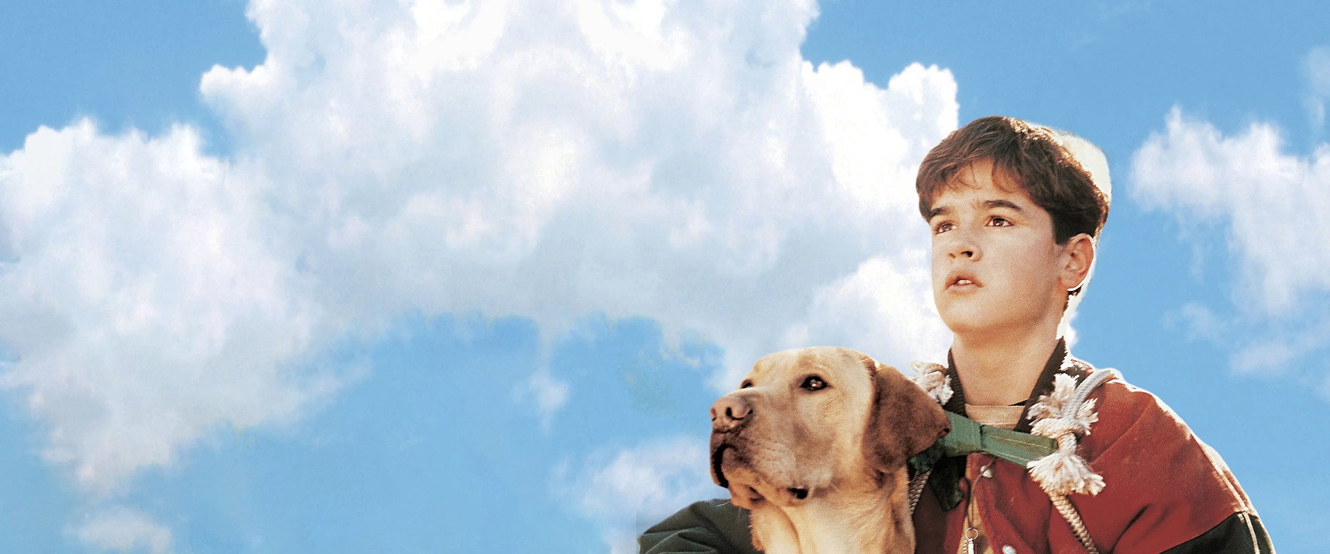 Far from Home: The Adventures of Yellow Dog backdrop