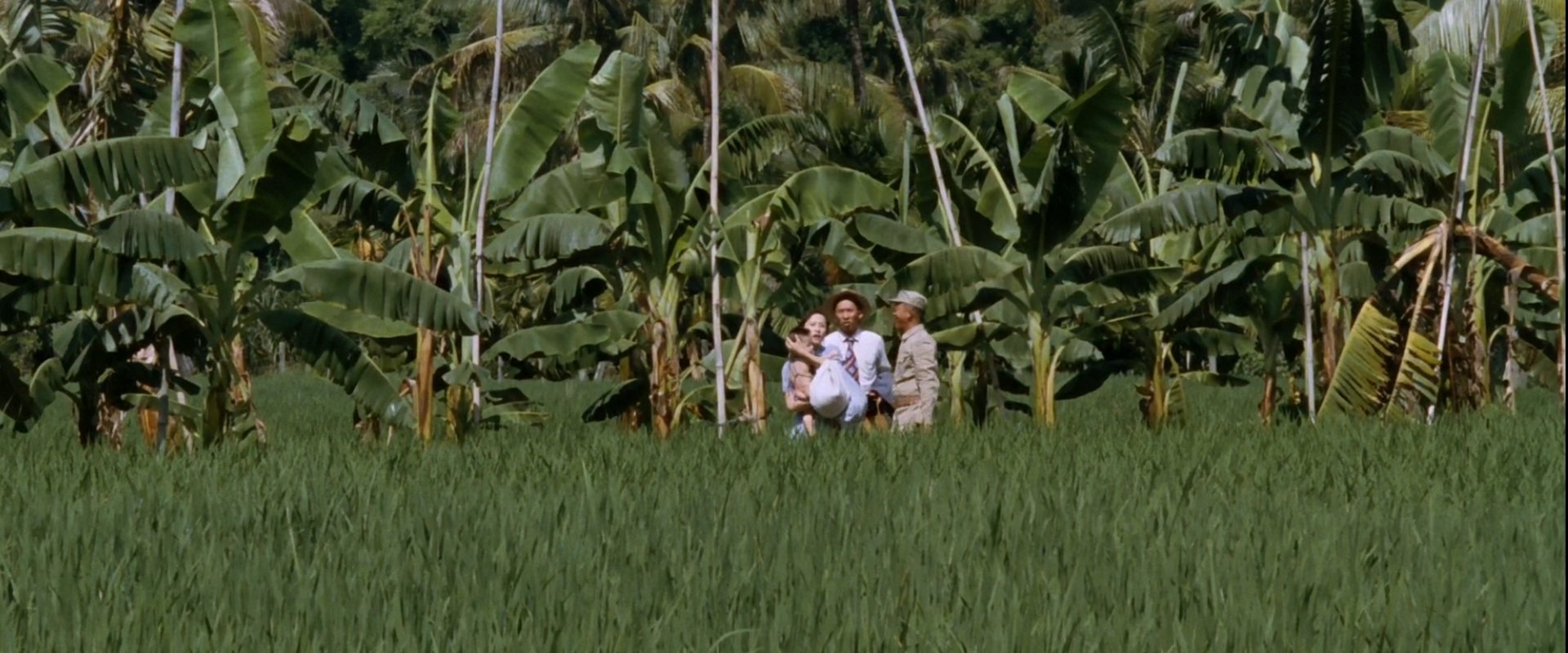 Banana Paradise backdrop