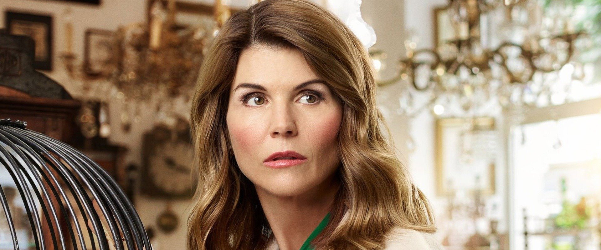 Garage Sale Mysteries: Searched & Seized backdrop