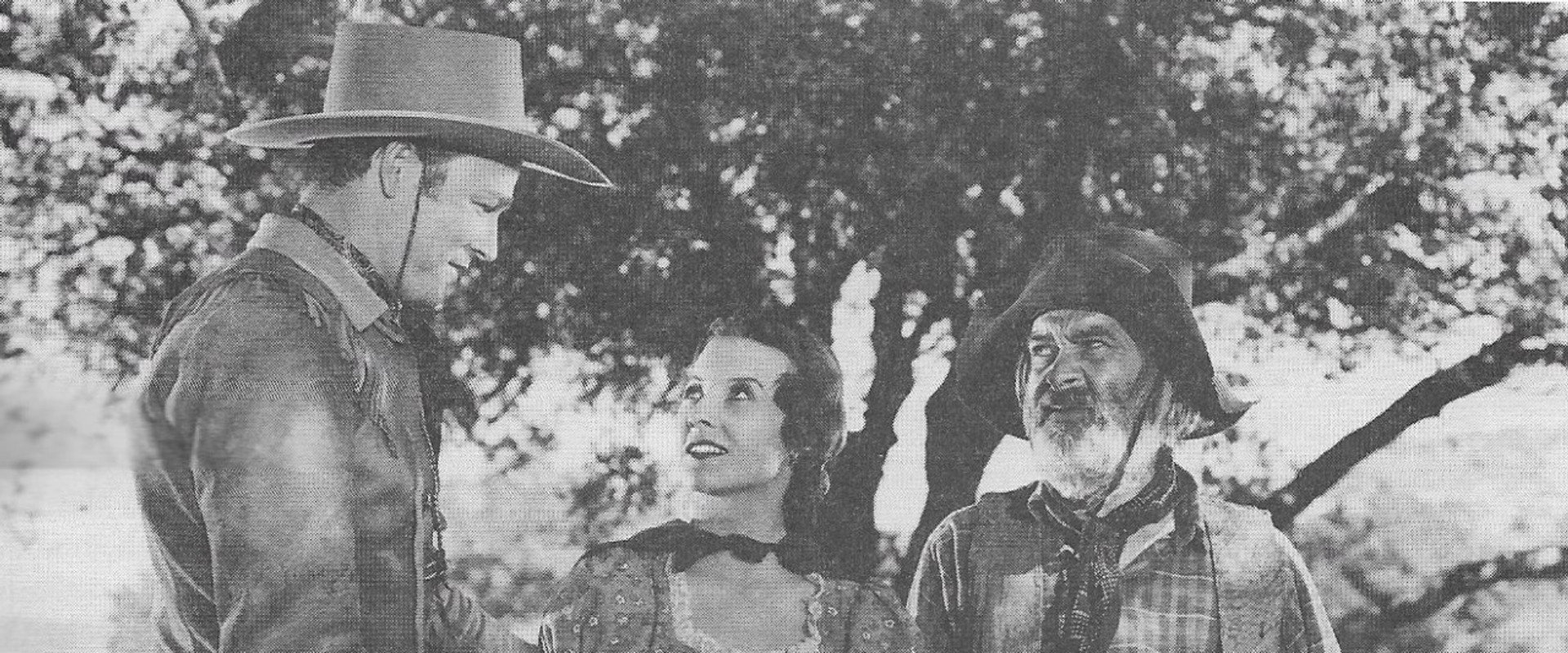 Young Buffalo Bill backdrop