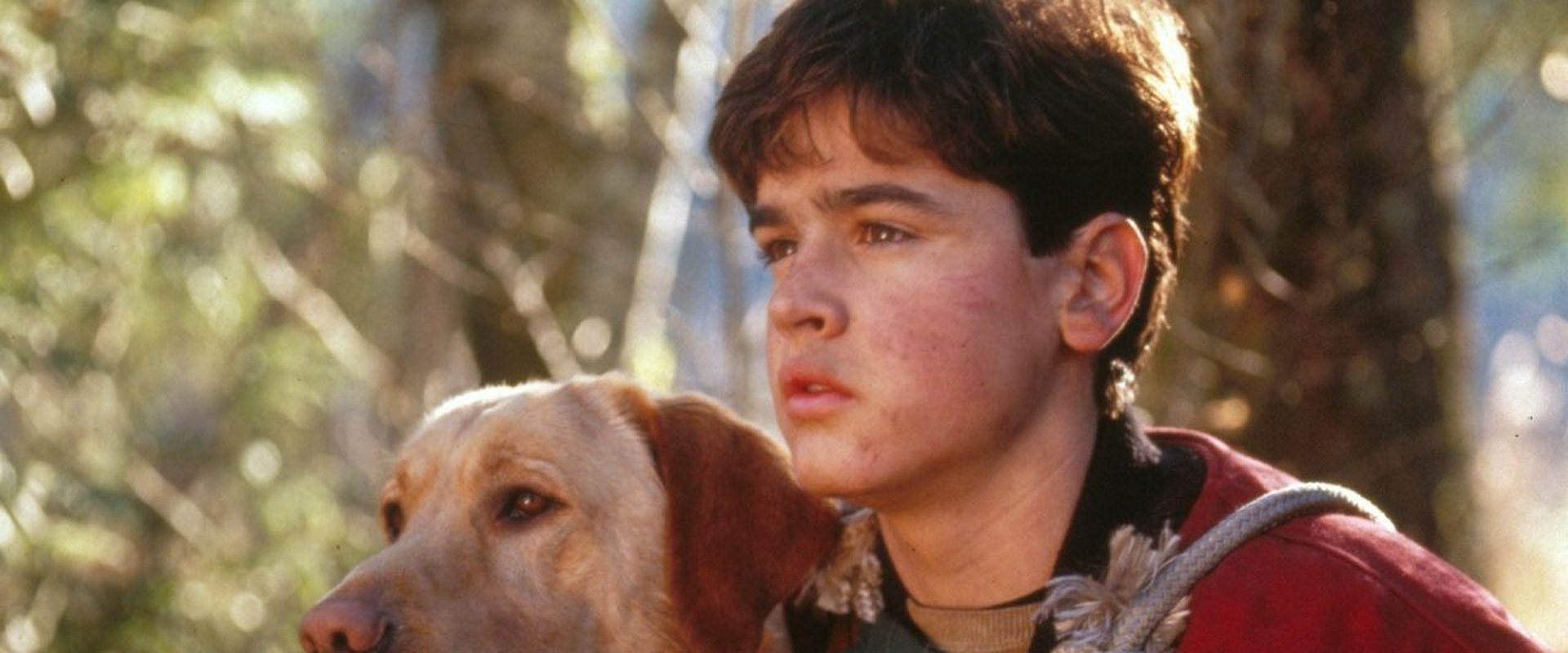Far from Home: The Adventures of Yellow Dog