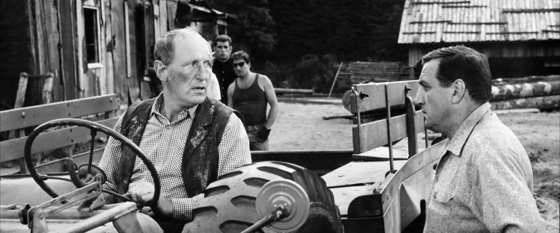 The Wise Guys backdrop