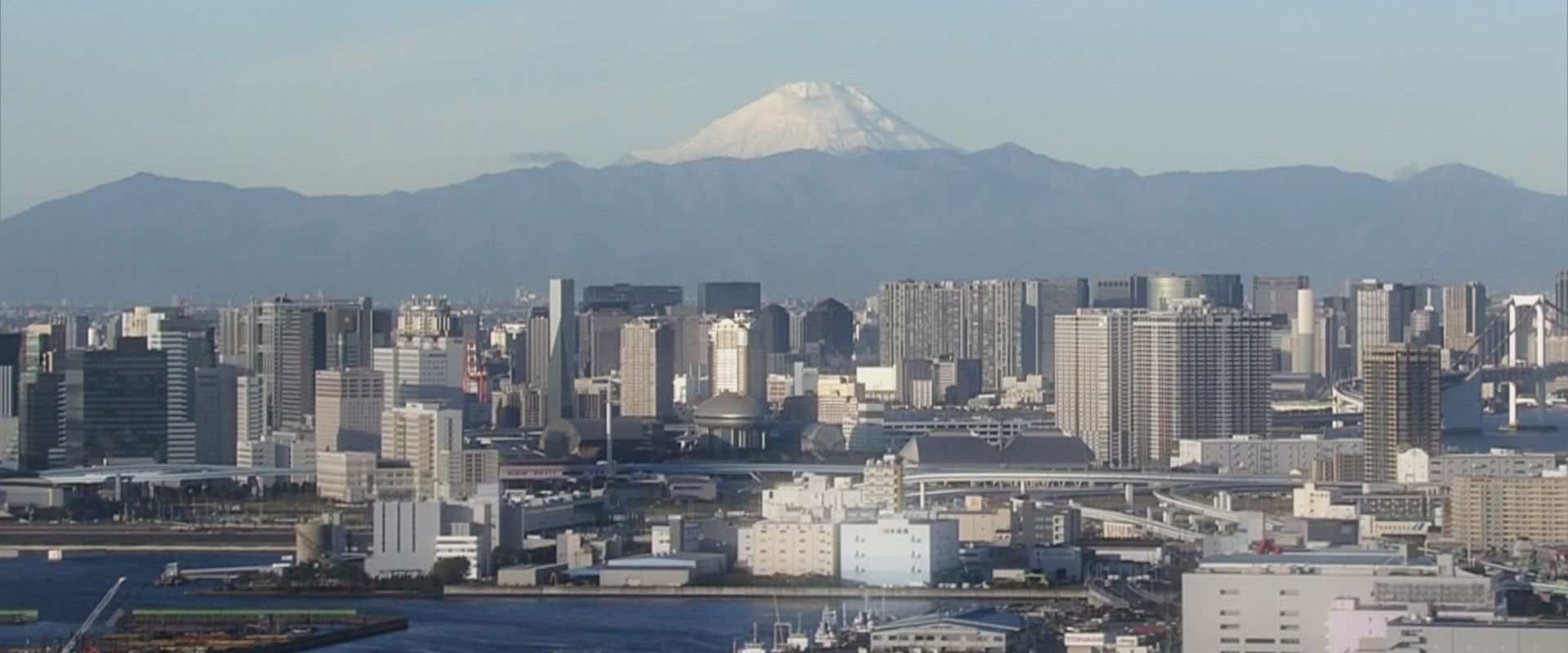 Tokyo Phoenix backdrop
