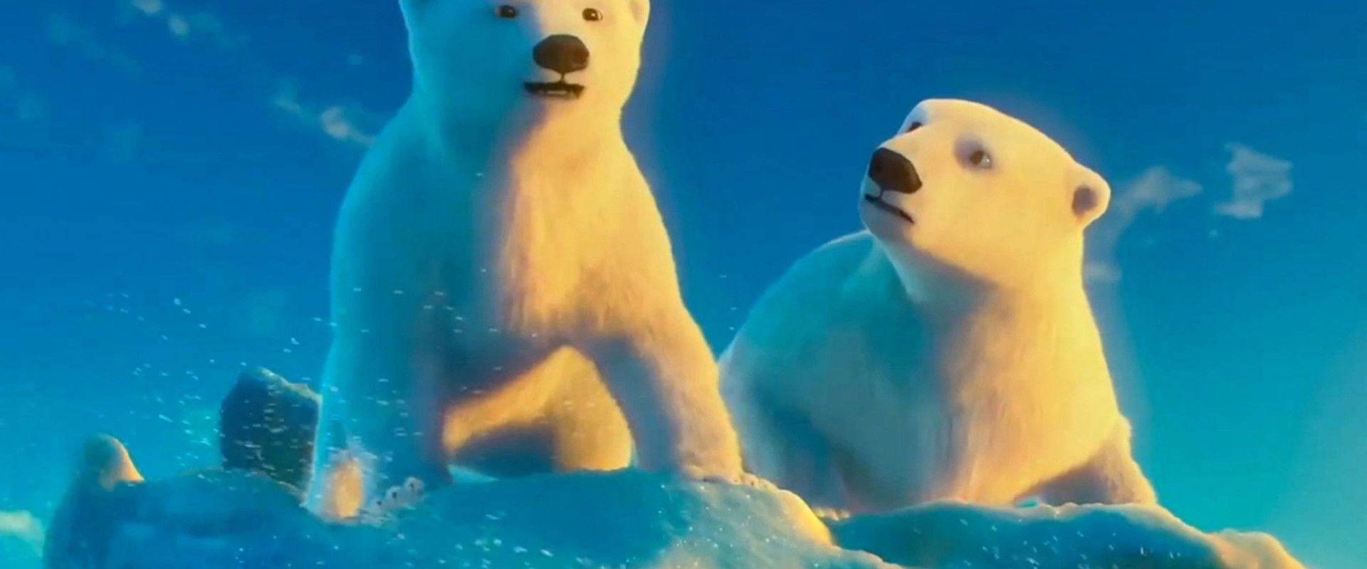 The Polar Bears backdrop