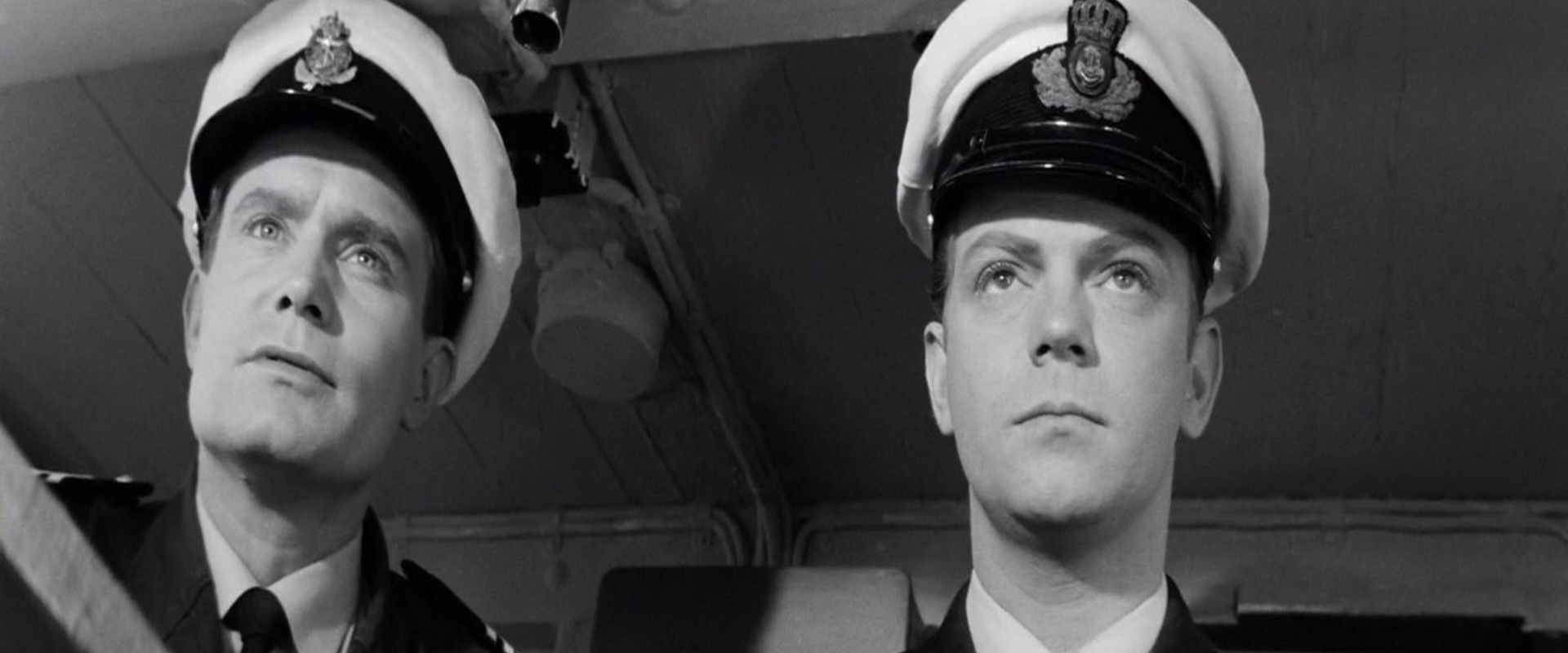 Sorte Shara backdrop