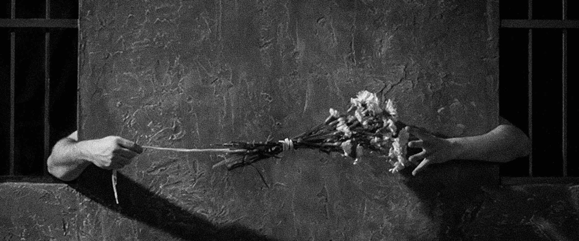 Song of Love backdrop