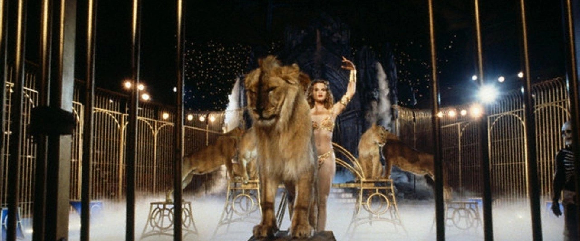 Roselyne and the Lions