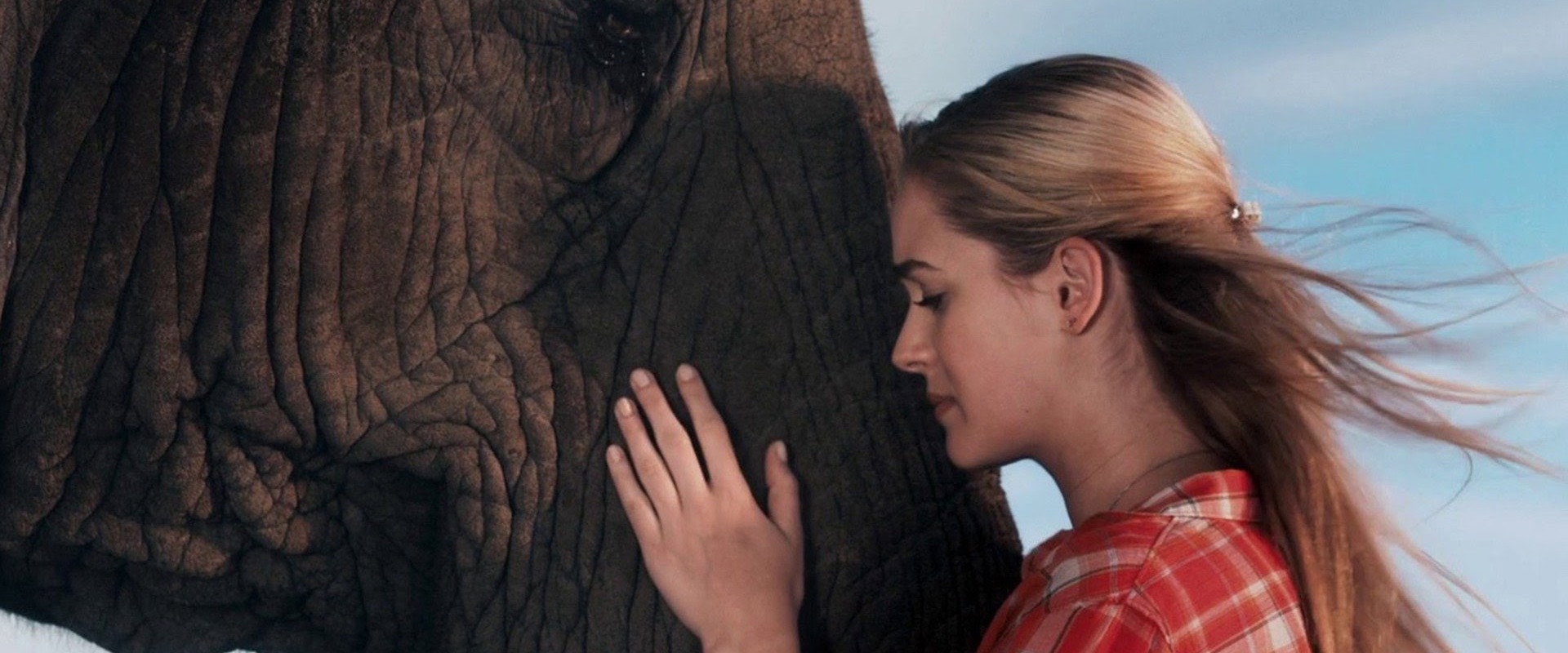 Sophie & Sheba backdrop