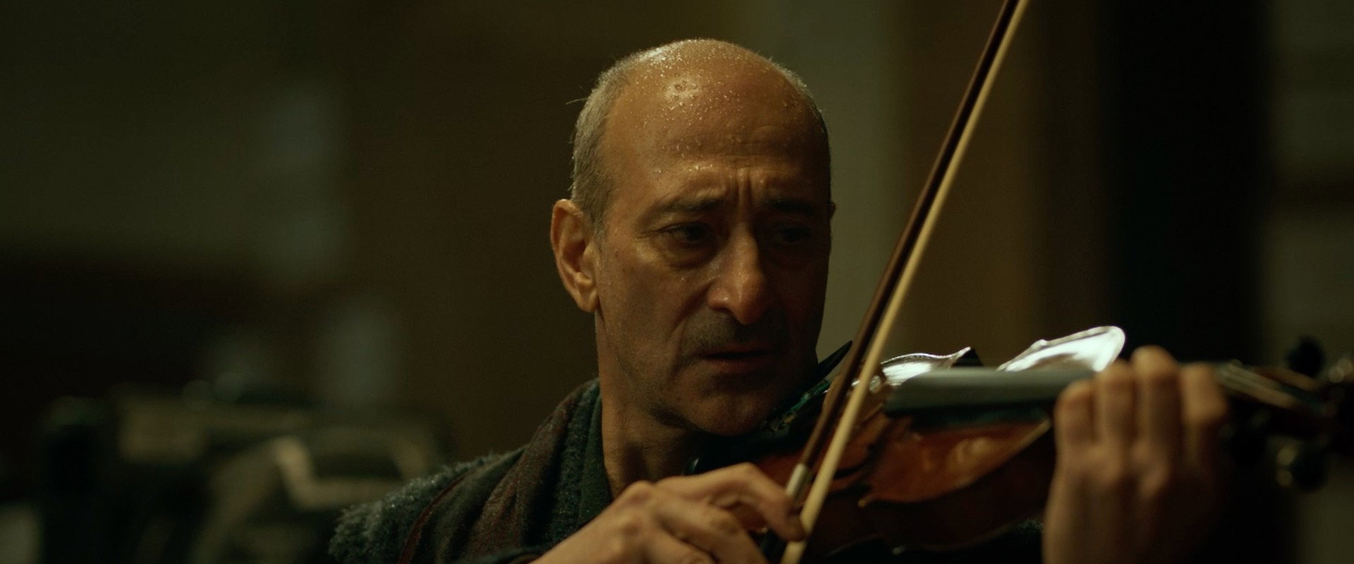 The Witness backdrop