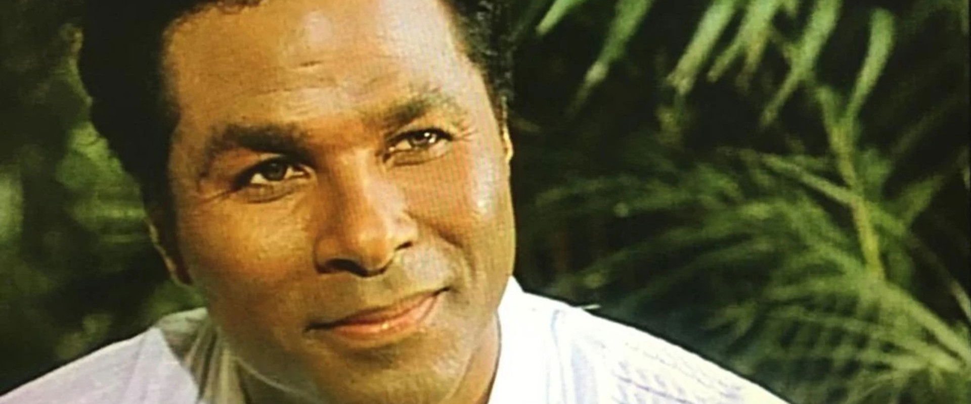 A Little Piece of Sunshine backdrop