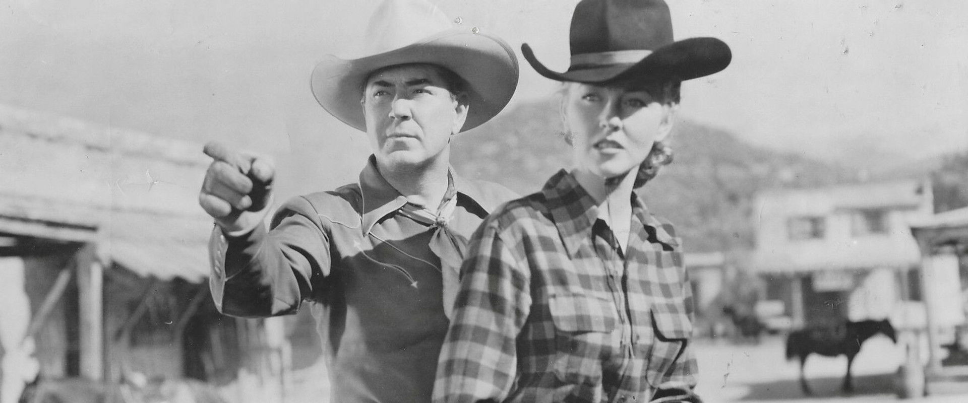 Colorado Ambush backdrop