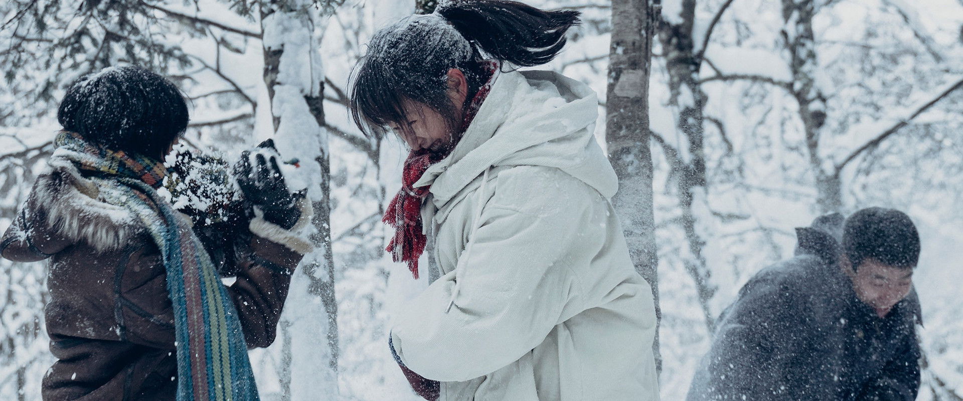 Wisdom Tooth backdrop