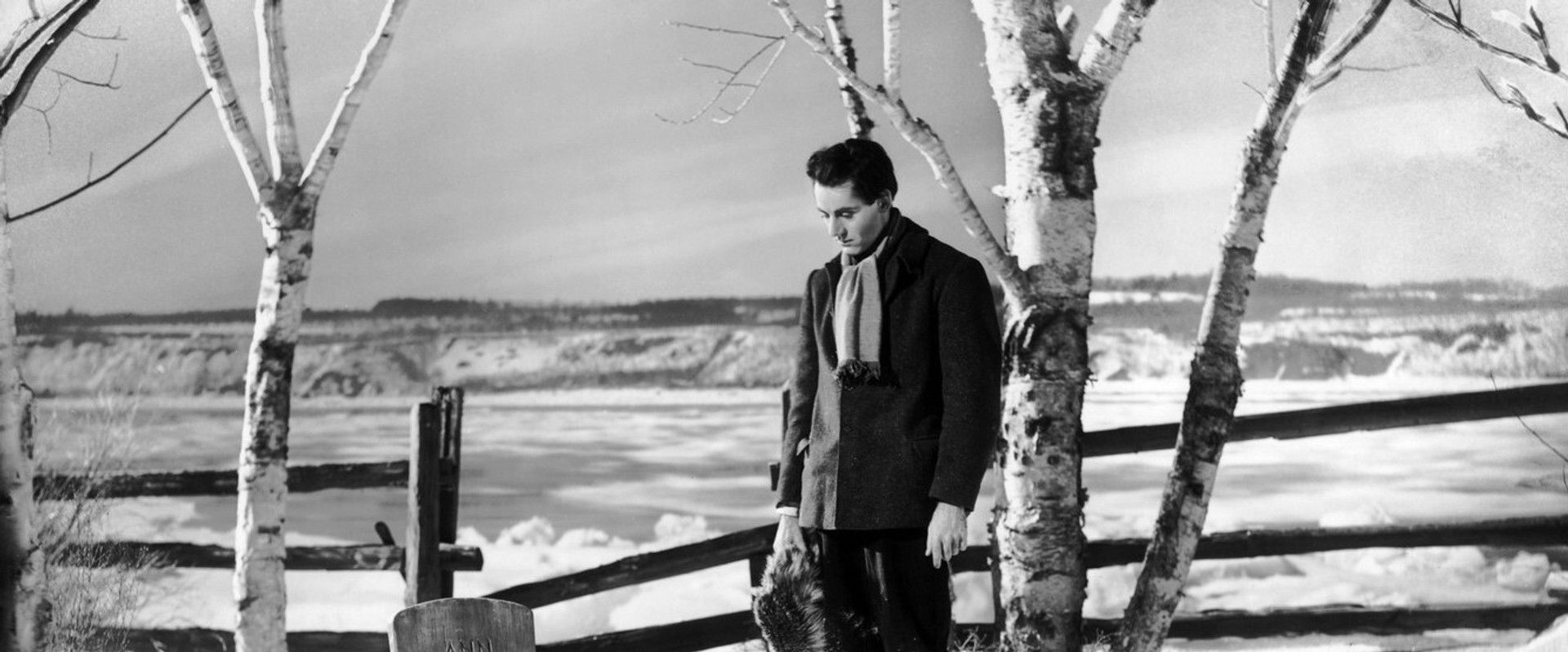 Young Mr. Lincoln backdrop