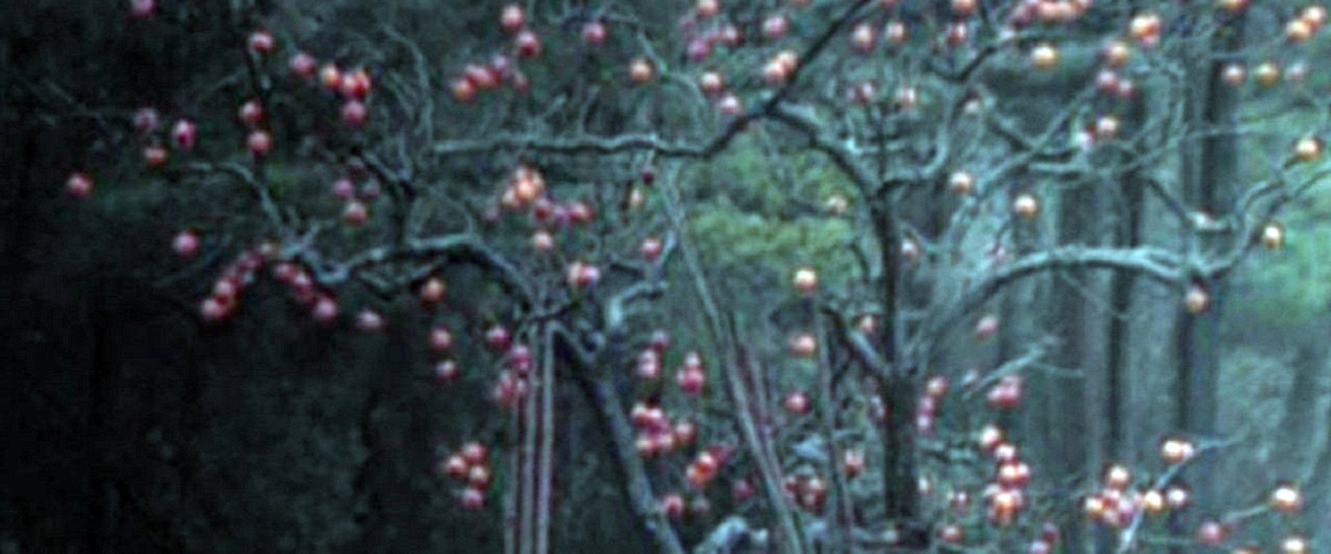 Elegy of a Voyage backdrop