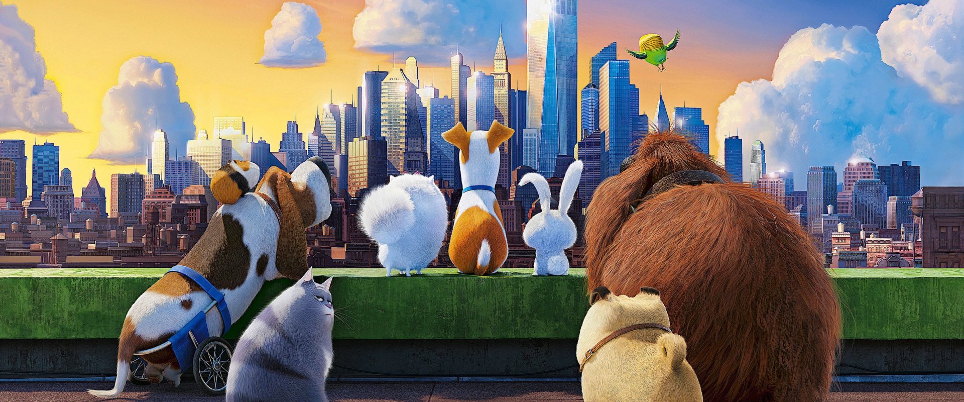 The Secret Life of Pets backdrop