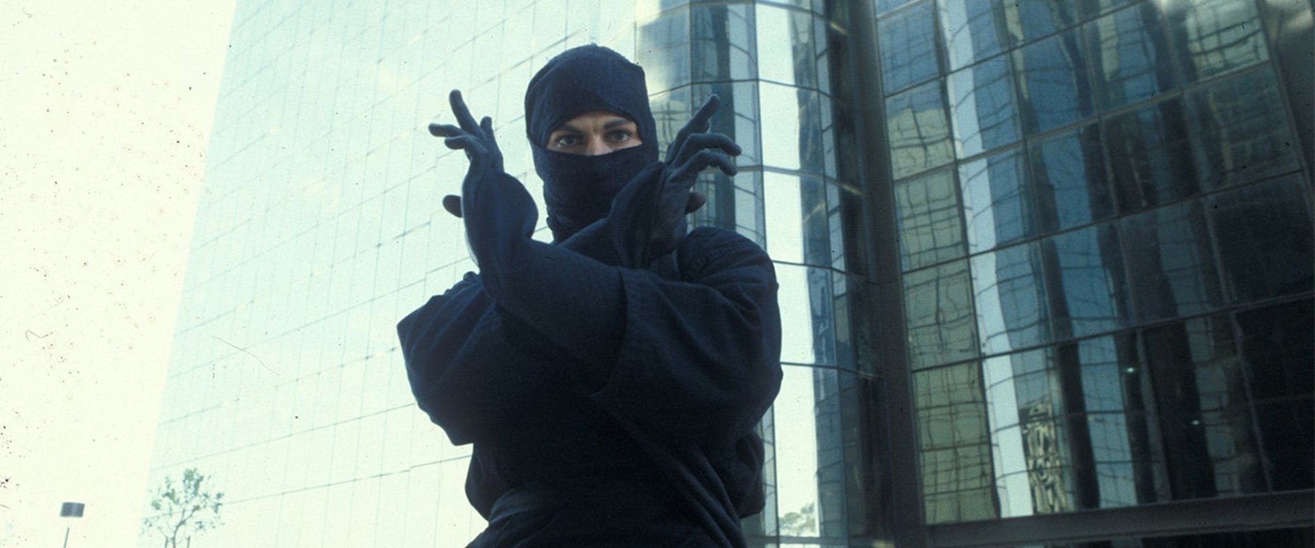 The Last Ninja
