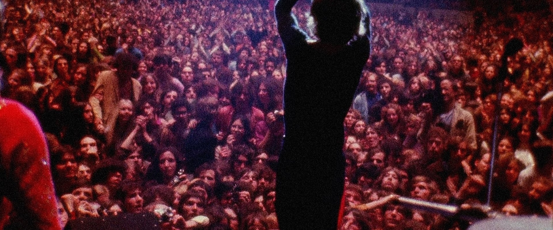 Gimme Shelter backdrop