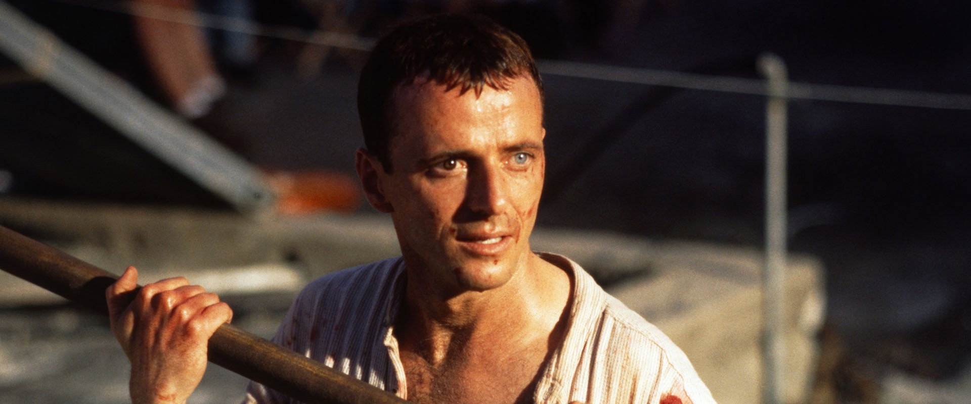 The Assignment backdrop