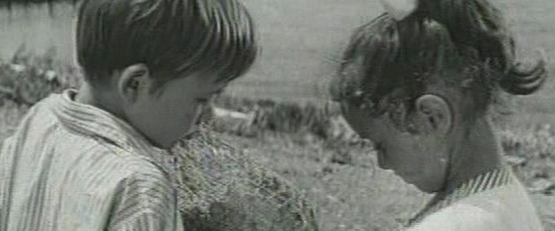 What Is It, the Sea? backdrop